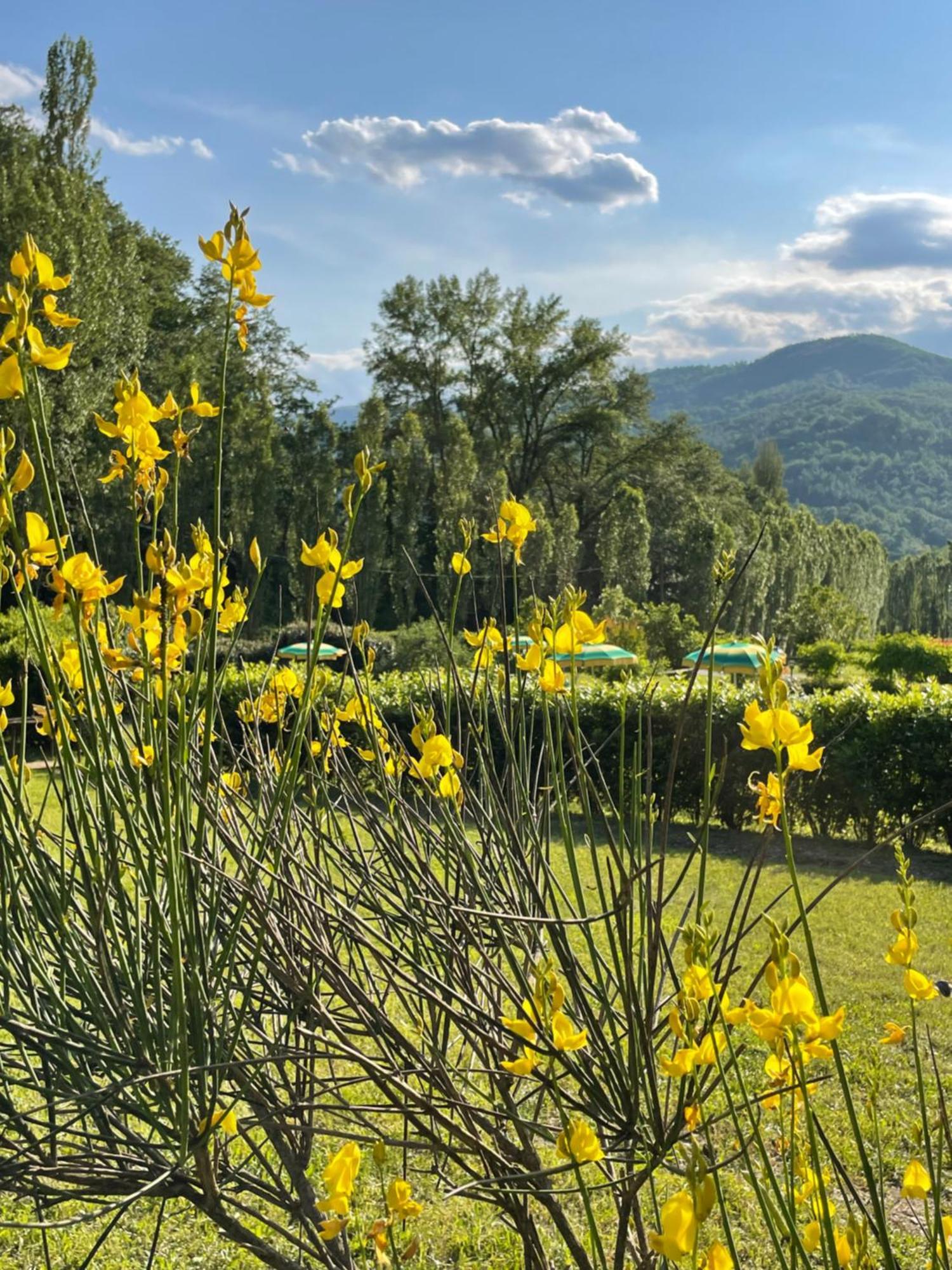 Cerqua Rosara Residence Valtopina Bagian luar foto
